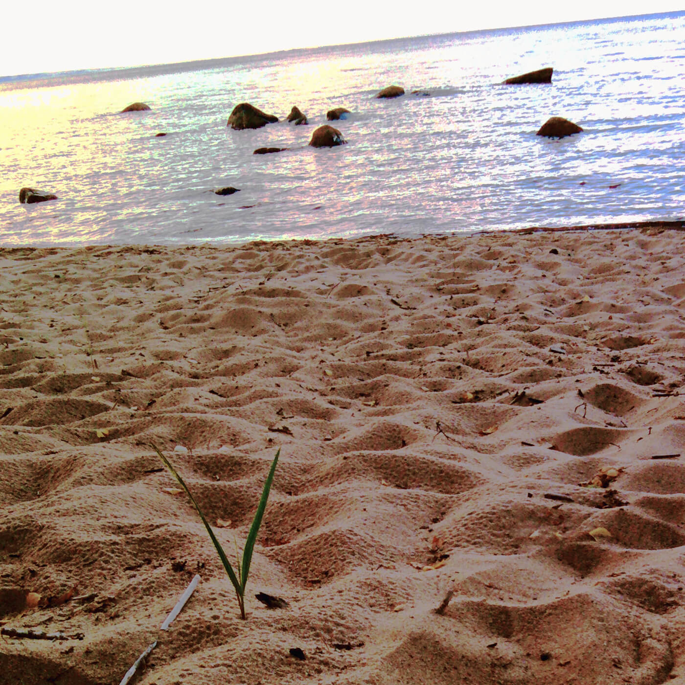 Dance in Sand
