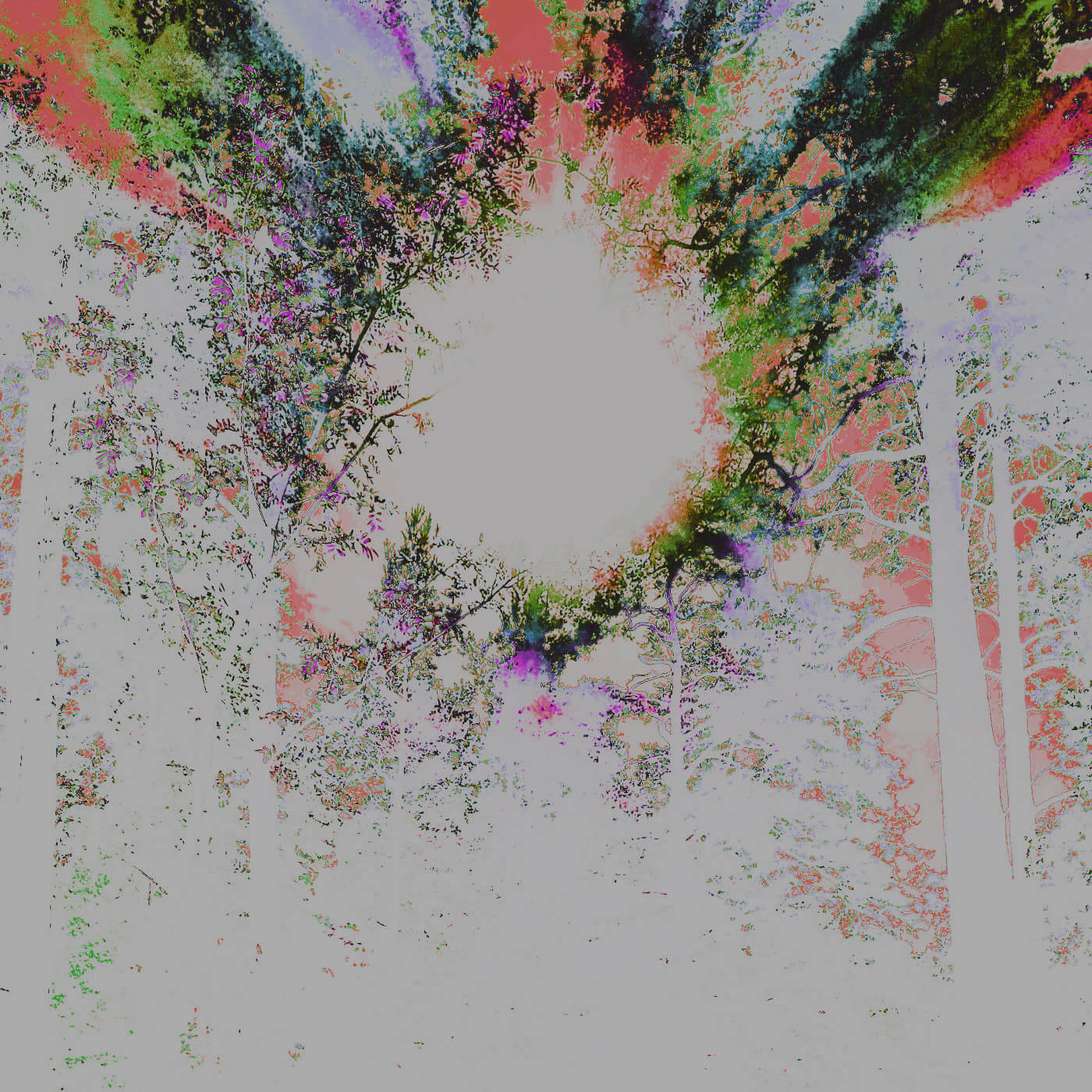 Move Around IV