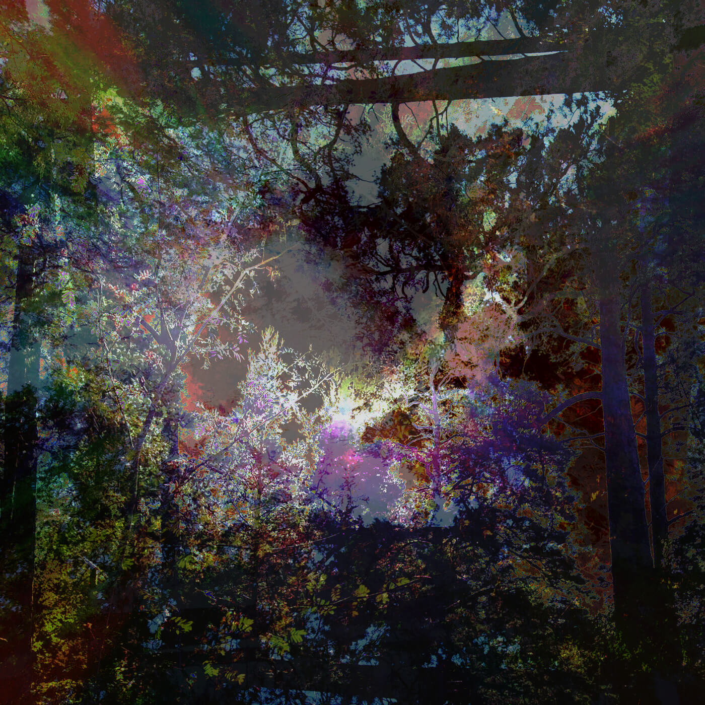 Move Around V